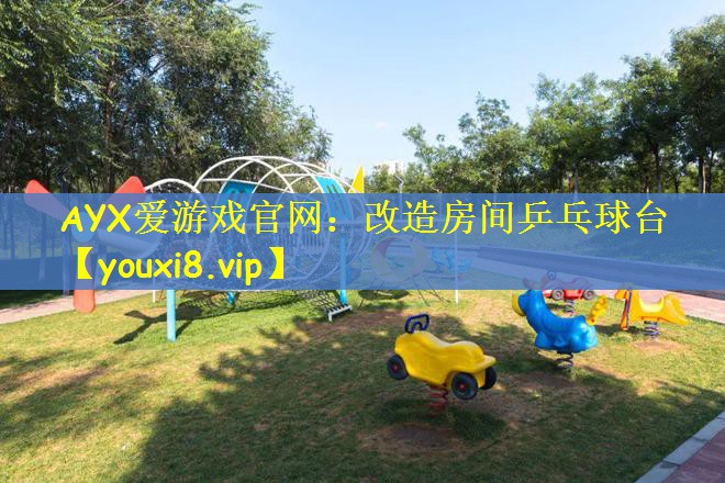 AYX爱游戏官网：改造房间乒乓球台