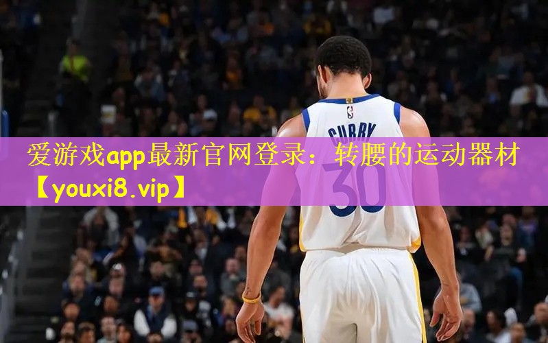 爱游戏app最新官网登录：转腰的运动器材
