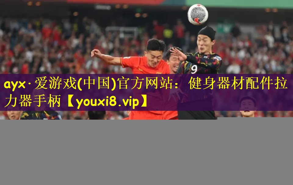 ayx·爱游戏(中国)官方网站：健身器材配件拉力器手柄