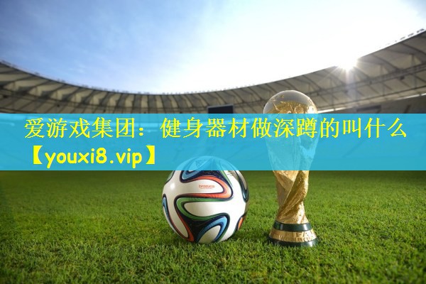 爱游戏集团：健身器材做深蹲的叫什么