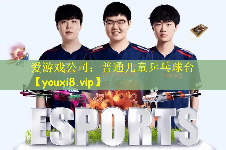 爱游戏公司：普通儿童乒乓球台