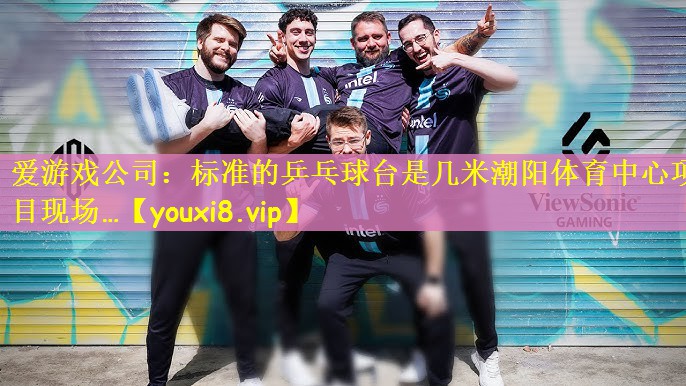 爱游戏公司：标准的乒乓球台是几米潮阳体育中心项目现场…