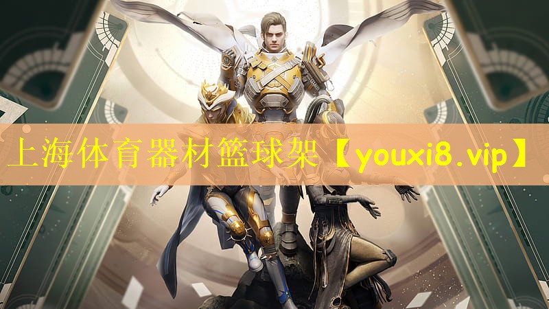 上海体育器材篮球架