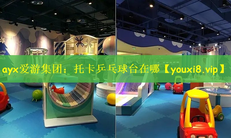 ayx爱游集团：托卡乒乓球台在哪