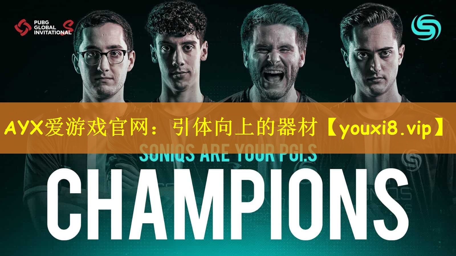 AYX爱游戏官网：引体向上的器材