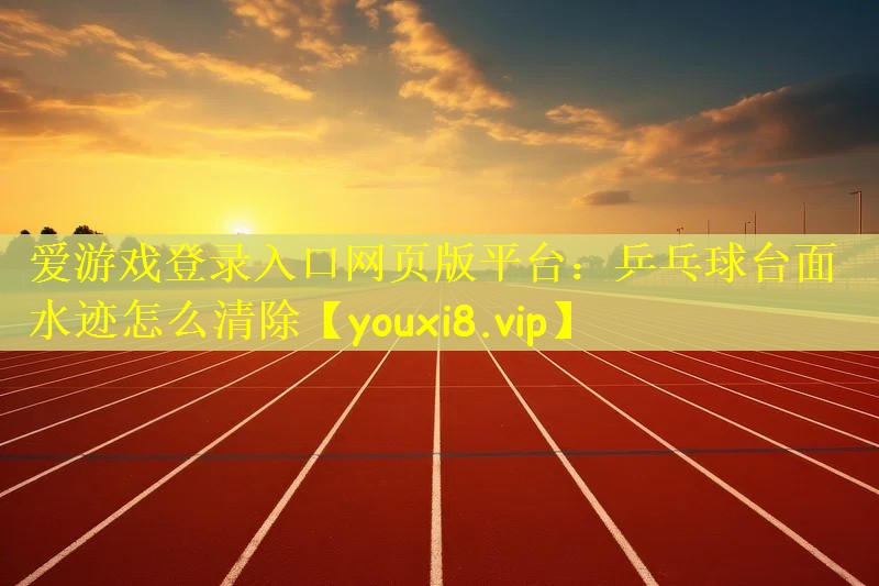 爱游戏登录入口网页版平台：乒乓球台面水迹怎么清除