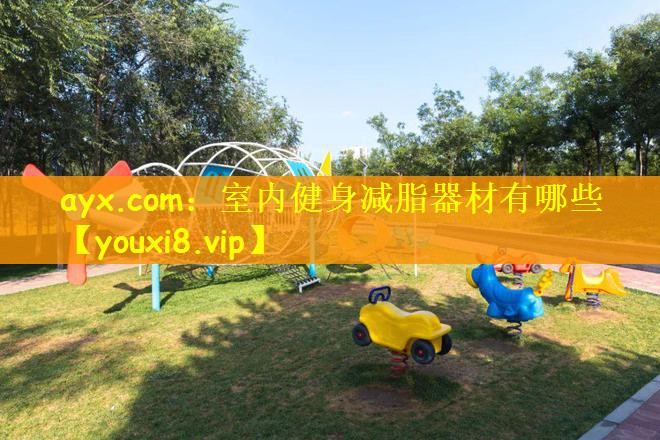 ayx.com：室内健身减脂器材有哪些