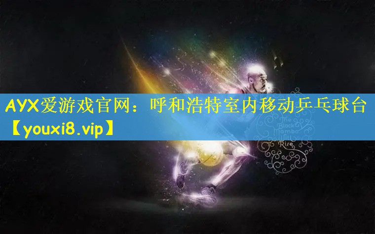 AYX爱游戏官网：呼和浩特室内移动乒乓球台