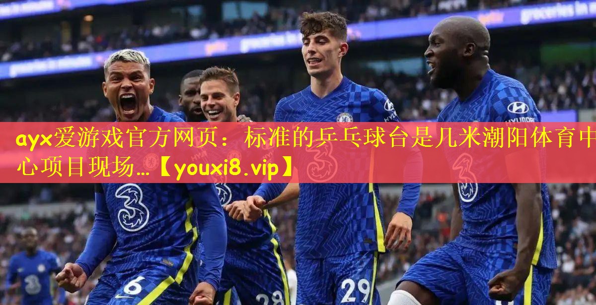 ayx爱游戏官方网页：标准的乒乓球台是几米潮阳体育中心项目现场…