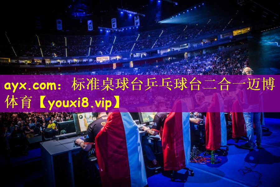 ayx.com：标准桌球台乒乓球台二合一迈博体育