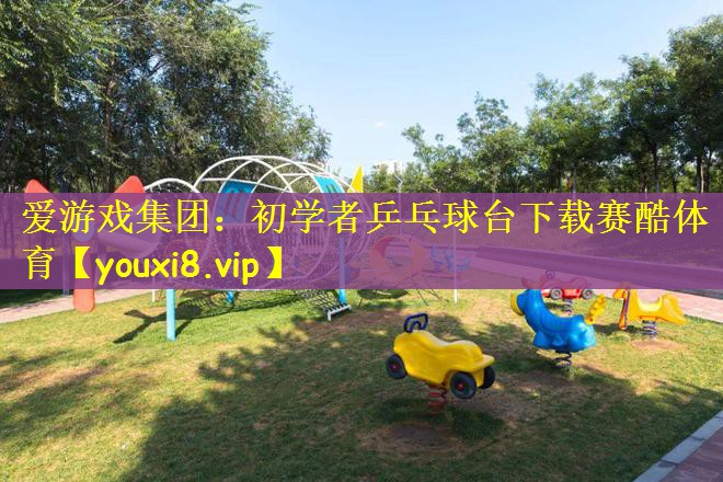 爱游戏集团：初学者乒乓球台下载赛酷体育