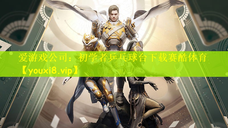 爱游戏公司：初学者乒乓球台下载赛酷体育