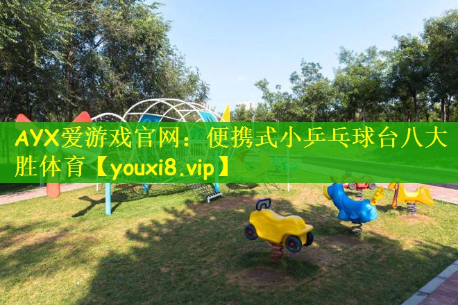 AYX爱游戏官网：便携式小乒乓球台八大胜体育