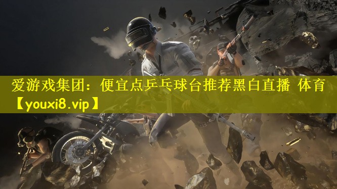 爱游戏集团：便宜点乒乓球台推荐黑白直播 体育