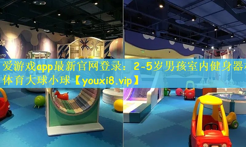 爱游戏app最新官网登录：2-5岁男孩室内健身器材体育大球小球