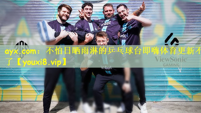 ayx.com：不怕日晒雨淋的乒乓球台即嗨体育更新不了