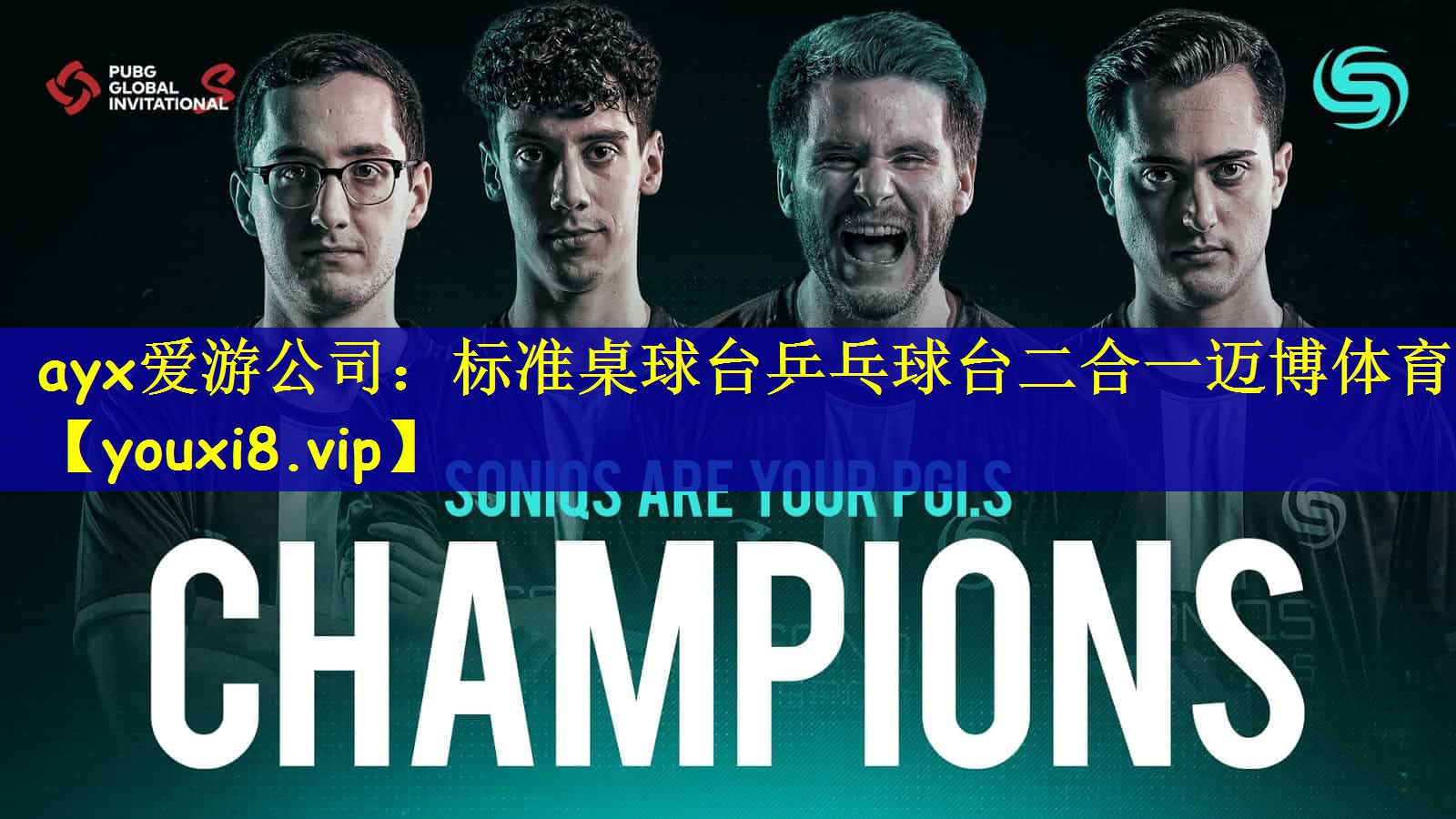 ayx爱游公司：标准桌球台乒乓球台二合一迈博体育
