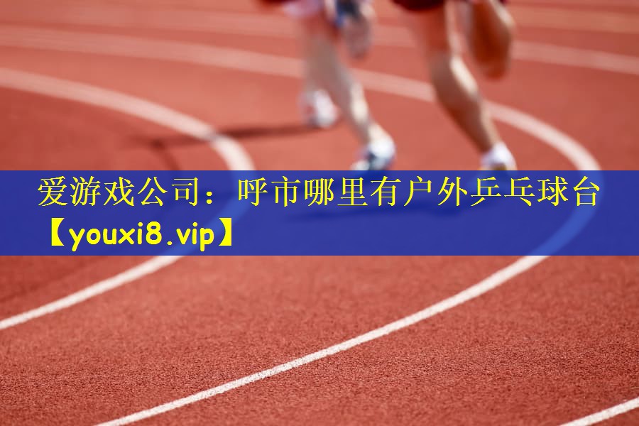 爱游戏公司：呼市哪里有户外乒乓球台