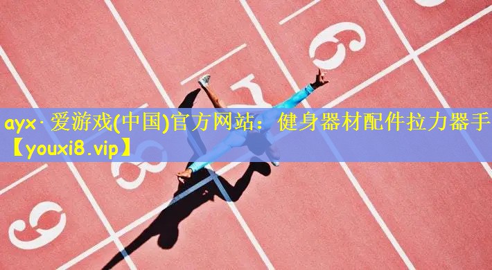 健身器材配件拉力器手柄