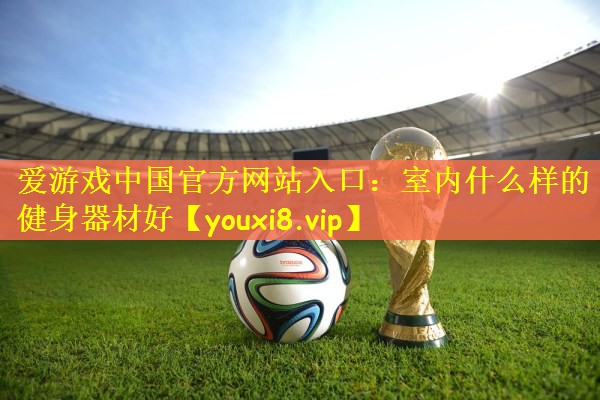 室内什么样的健身器材好