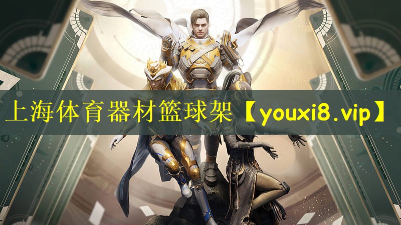 上海体育器材篮球架
