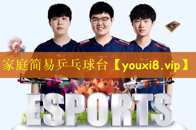 家庭简易乒乓球台 家庭简易乒乓球台