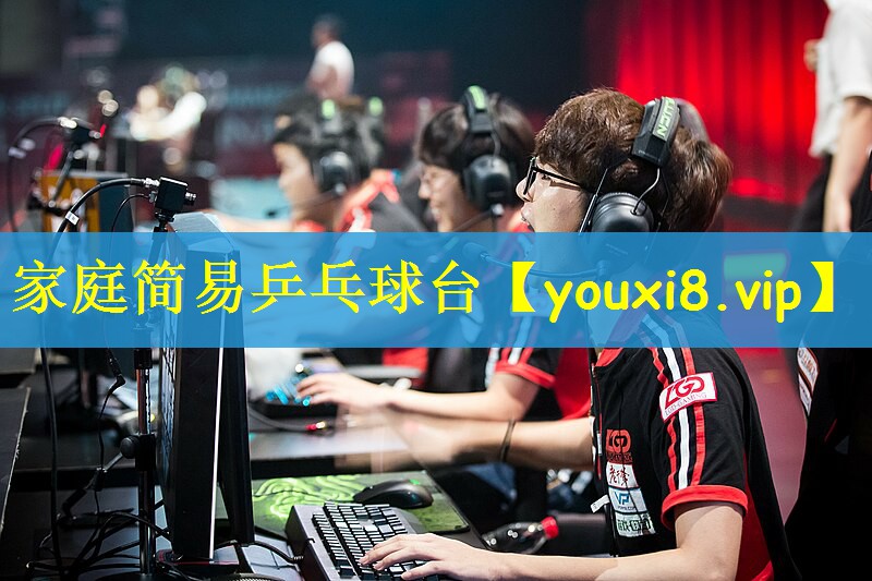 家庭简易乒乓球台 家庭简易乒乓球台