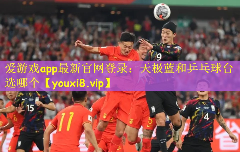 天极蓝和乒乓球台选哪个